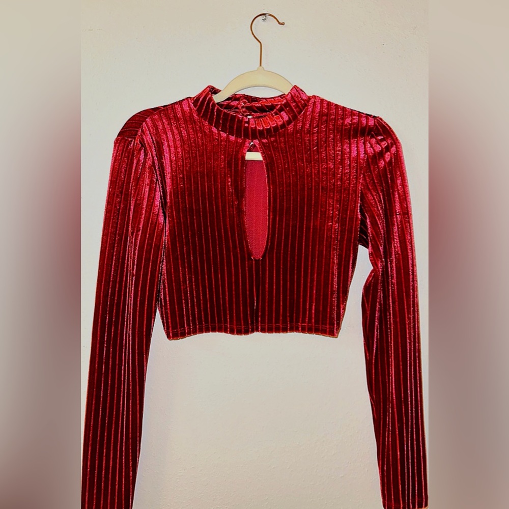 Velvet Red Wine Shirt from H&M